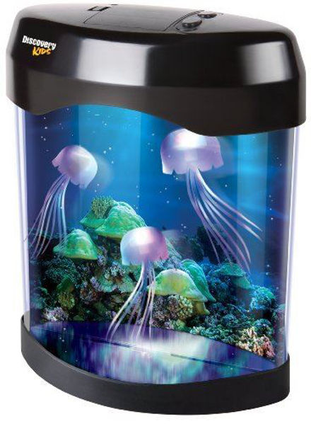 Bild von LED Jellyfisch Tank "Entdeckung"