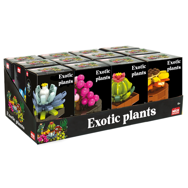 Bild von Exotic Plants