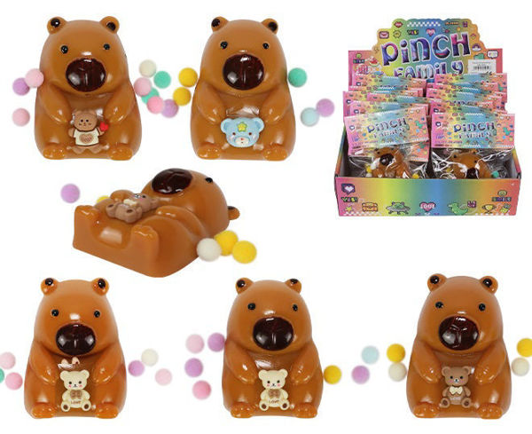 Bild von Squeeze Capybara