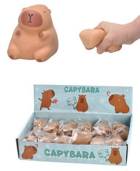 Bild von Stretch Capybara, Sand