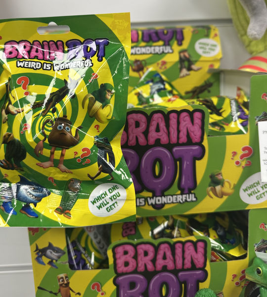 Bild von BRAIN ROT BLIND BAG