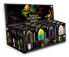 Bild von MagiX Scorpion Eggs