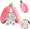 Bild von Plüsch Hase in Karotte / Erdbeere